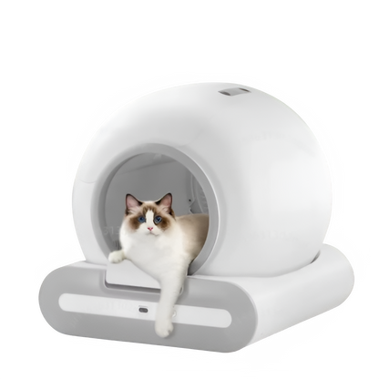 Litière auto-nettoyante