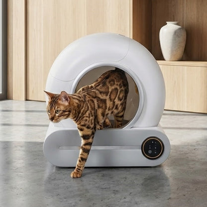 Litière Autonettoyante Connectée