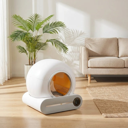 Litière Autonettoyante Connectée